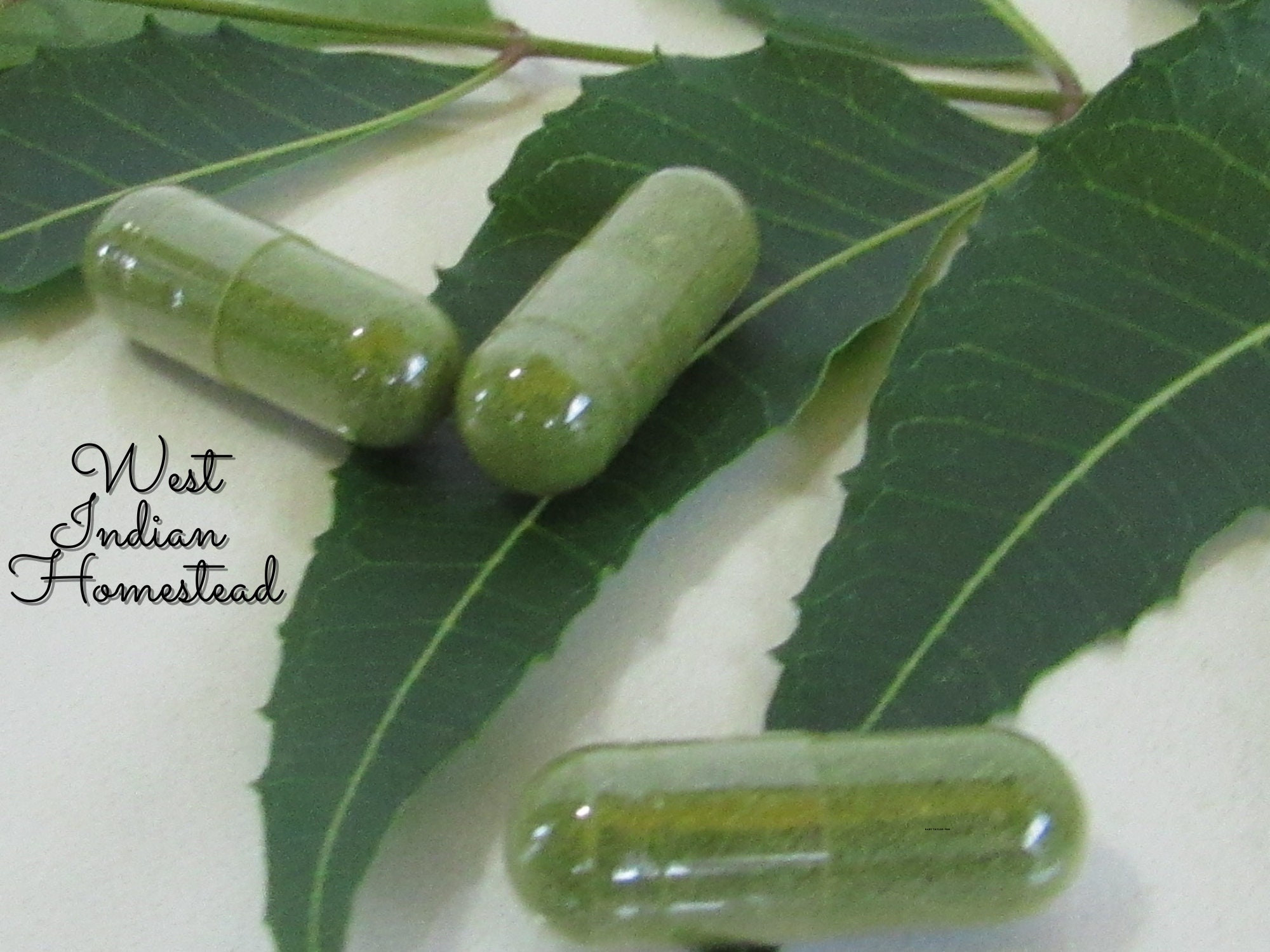 60 Organic Neem Capsules OR 2 ounces of Neem Powder Made to Etsy