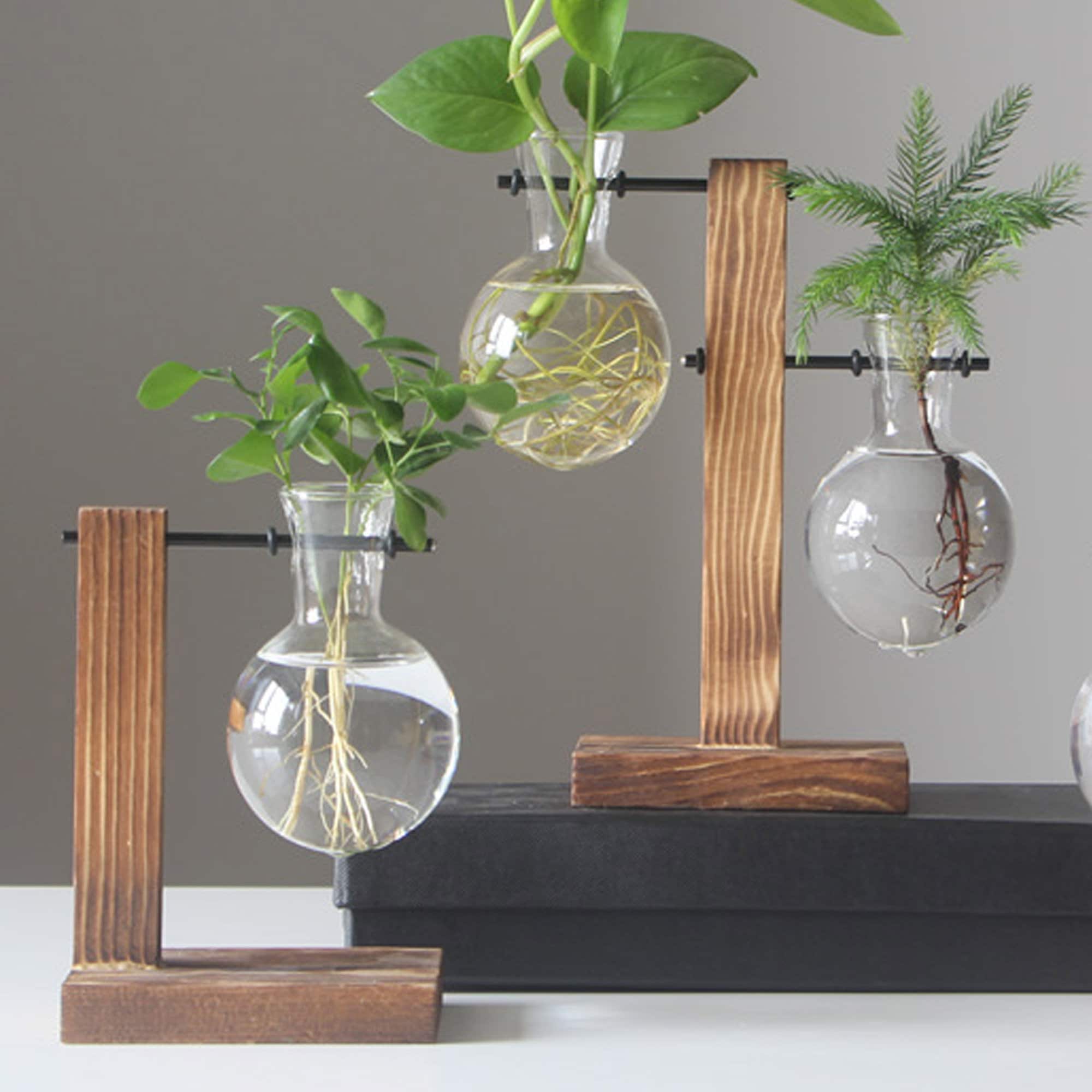 Plant Propagation Station/ Glass Propagation Bulb Vase with Etsy