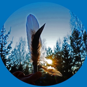 May include: A feather ornament featuring a central white and brown plume attached to a cylindrical base, with a smaller secondary feather and a metallic bead accent dangling from the side, backlit by a bright sun in a forest setting.