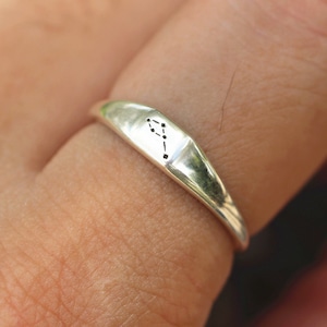 925 Silber Delphinus Ring, Delphinus Galaxy Ring, zierliche Tierkreis Schmuck, delphinus Konstellation Schmuck