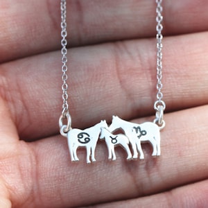 colar de cavalo personalizado, colar de zodíaco personalizado, anel inicial, joias de cavalo de família de prata esterlina, joias de família, joias para amantes de animais, ideia de presente