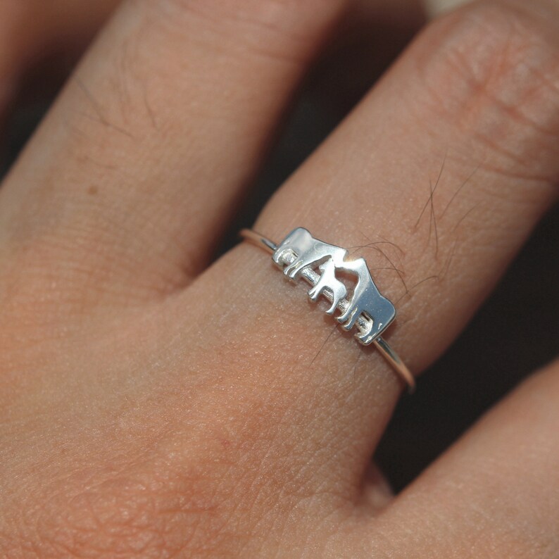 Custom Horse Ringsterling Silver Family Horse Jewelryfamily | Etsy