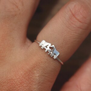 Custom Horse Ring,sterling Silver Family Horse Jewelry,family Jewelry ...