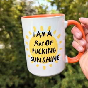 Funny Coffee Mug | Travel Mug | Ray of Fucking Sunshine | Gift for Him | Christmas Gift Her | Personalized Mug | 40oz Tumbler