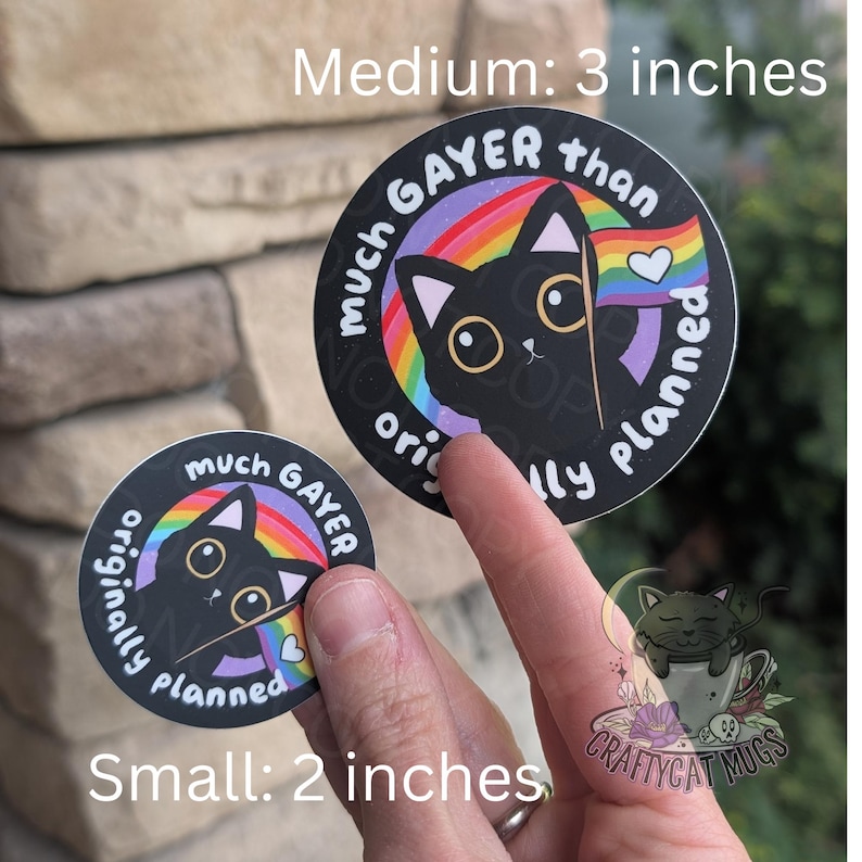 May include: Two round stickers with a black cat holding a rainbow flag. The larger sticker is 3 inches in diameter and reads "much GAYER than originally planned". The smaller sticker is 2 inches in diameter and reads "much GAYER originally planned".
