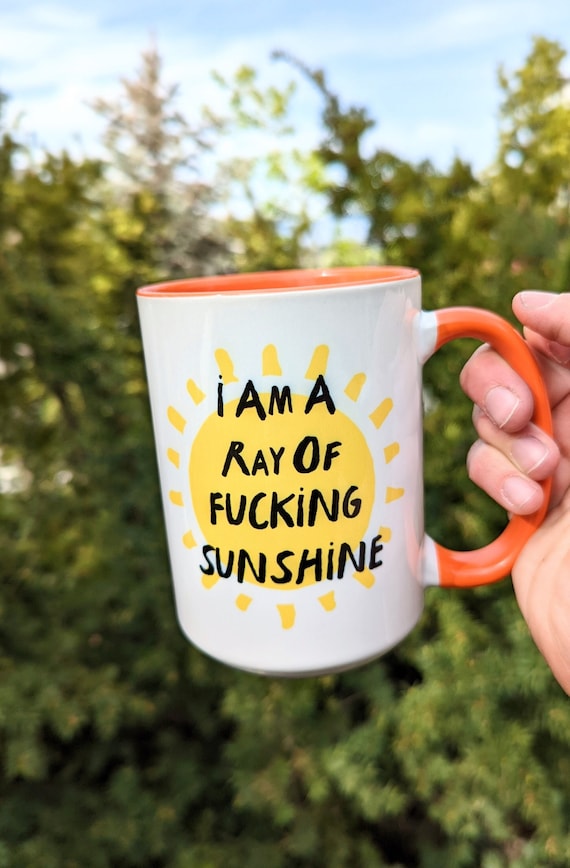 Funny Coffee Mug | Travel Mug | Ray of Fucking Sunshine | Gift for Him | Christmas Gift Her | Personalized Mug | 40oz Tumbler
