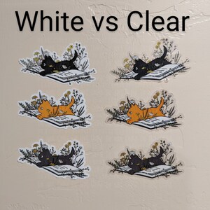 Op de afbeelding: Een vergelijking van twee katten stickers op een witte achtergrond. De stickers tonen een zwarte kat en een oranje kat die een boek lezen, omringd door bloemen. De tekst "White vs Clear" staat bovenaan de afbeelding.