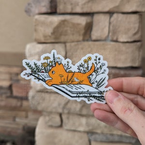 Op de afbeelding: Een oranje kat die op een boek ligt met een witte achtergrond. De kat wordt omringd door kleine gele en witte bloemen.