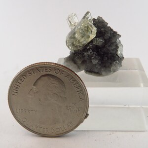 Gem Barite Crystals on Druzy Quartz Meikle Mine, Nevada image 7