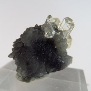 Gem Barite Crystals on Druzy Quartz Meikle Mine, Nevada image 4