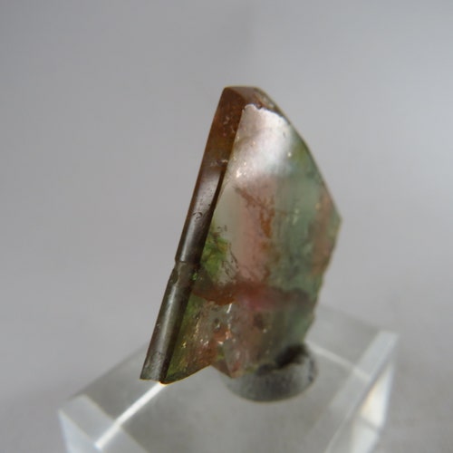 Liddicoatite shops Tourmaline Crystal Slice, Madagascar