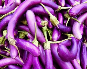 Long Purple Eggplant Seeds | Non-GMO | Heirloom | Fresh Garden Seeds