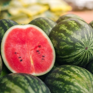 Greybelle Watermelon Seeds | Heirloom | Non-GMO | Fresh Garden Seeds