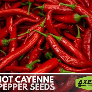 Hot Cayenne Pepper Heirloom Non-GMO Seeds image 1