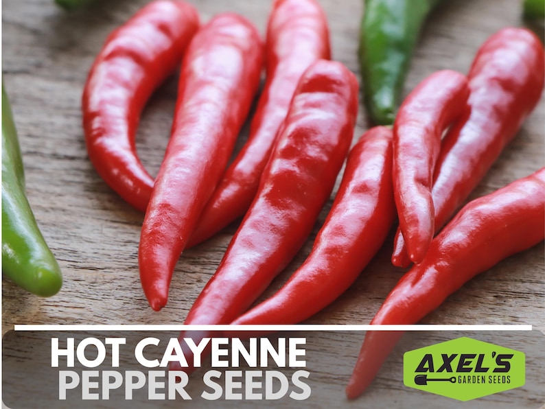 Hot Cayenne Pepper Heirloom Non-GMO Seeds image 4
