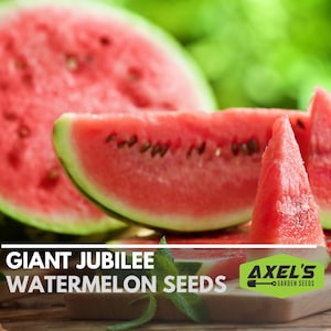 Giant Jubilee Watermelon Heirloom Non-GMO Seeds