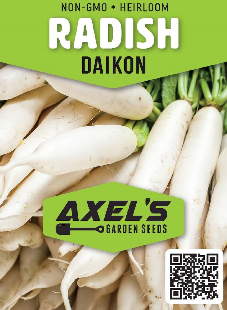 Daikon Radish Seeds | Non-gmo | Heirloom | Fresh Garden Seeds - Etsy