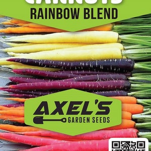 Rainbow Blend Carrot Seeds Heirloom Non-GMO Fresh Garden Seeds image 2