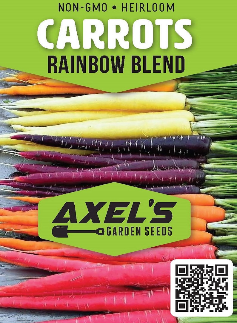 Rainbow Blend Carrot Seeds Heirloom Non-GMO Fresh Garden Seeds image 2