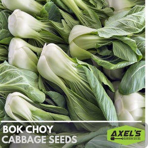 Bok Choy White Stem Cabbage Heirloom Non-GMO Seeds