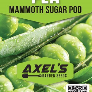 Mammoth Snow Sugar Pea Seeds Heirloom Non-GMO Fresh Garden Seeds image 2