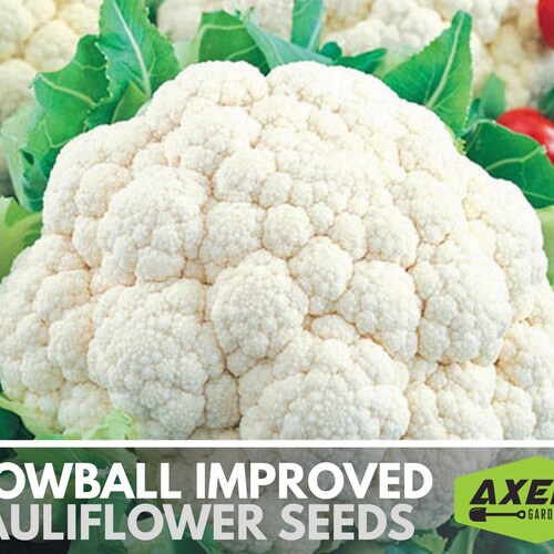 Snowball Y Improved Cauliflower Heirloom Non-GMO Seeds