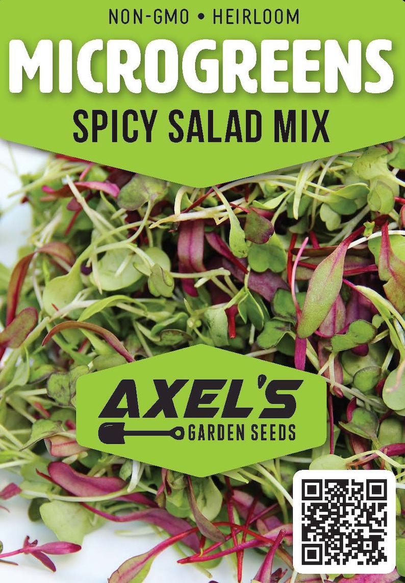Spicy Salad Mix MICROGREEN Seeds Heirloom Nongmo Seeds Etsy