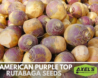American Purple Top Rutabaga Heirloom Non-GMO Seeds