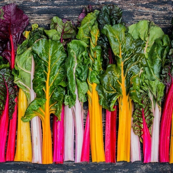 Rainbow Swiss Chard Seeds | Heirloom | Non-GMO | Fresh Garden Seeds