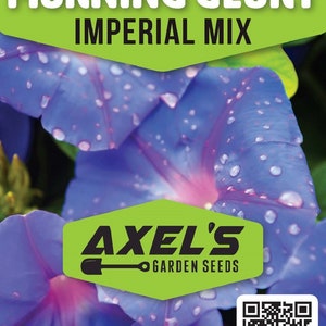 Morning Glory Imperial Mix Seeds | Non-GMO | Heirloom | Fresh Garden Seeds