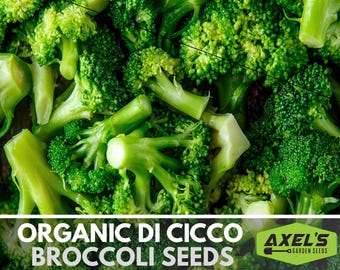 Organic Di Ciccio Broccoli Heirloom Non GMO Seeds