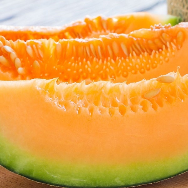 Orange Melon Honeydew Seeds | Non-GMO | Heirloom | Fresh Garden Seeds