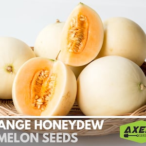 Orange Honeydew Melon Heirloom Non-GMO Seeds