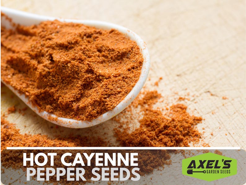 Hot Cayenne Pepper Heirloom Non-GMO Seeds image 6