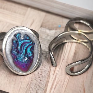 May include: Two silver rings, one with a raised oval design featuring a purple and blue anatomical heart, the other with a simple oval design.