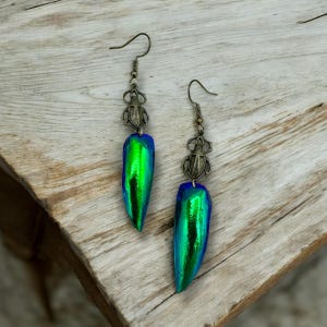 May include: A pair of dangle earrings featuring iridescent green beetle wings with antique brass beetle charms.