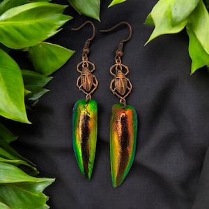 Real Beetle Shell Earrings: Gothic Witchy Jewelry