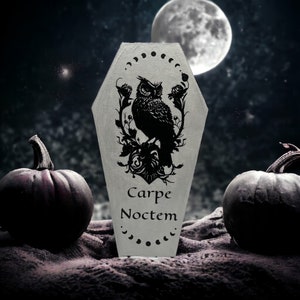 Carpe Nocturne, Coffin Signs, Owl Sign, Gothic Decor, Gothic Wedding, Gothic Sign, 12in Coffin Sign