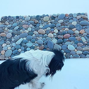 Pu&ograve; includere: Un tappeto rettangolare in pietra composto da ciottoli di fiume multicolori e lisci. Le rocce sono principalmente sfumature di blu, grigio e beige. Un cane bianco e nero &egrave; in primo piano, oscurando parzialmente il tappeto.