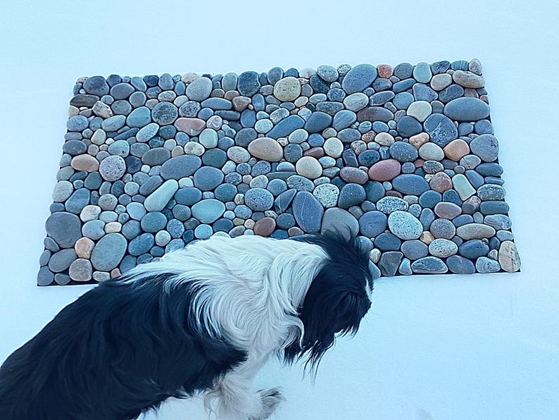 Pu&ograve; includere: Un tappeto rettangolare in pietra composto da ciottoli di fiume multicolori e lisci. Le rocce sono principalmente sfumature di blu, grigio e beige. Un cane bianco e nero &egrave; in primo piano, oscurando parzialmente il tappeto.