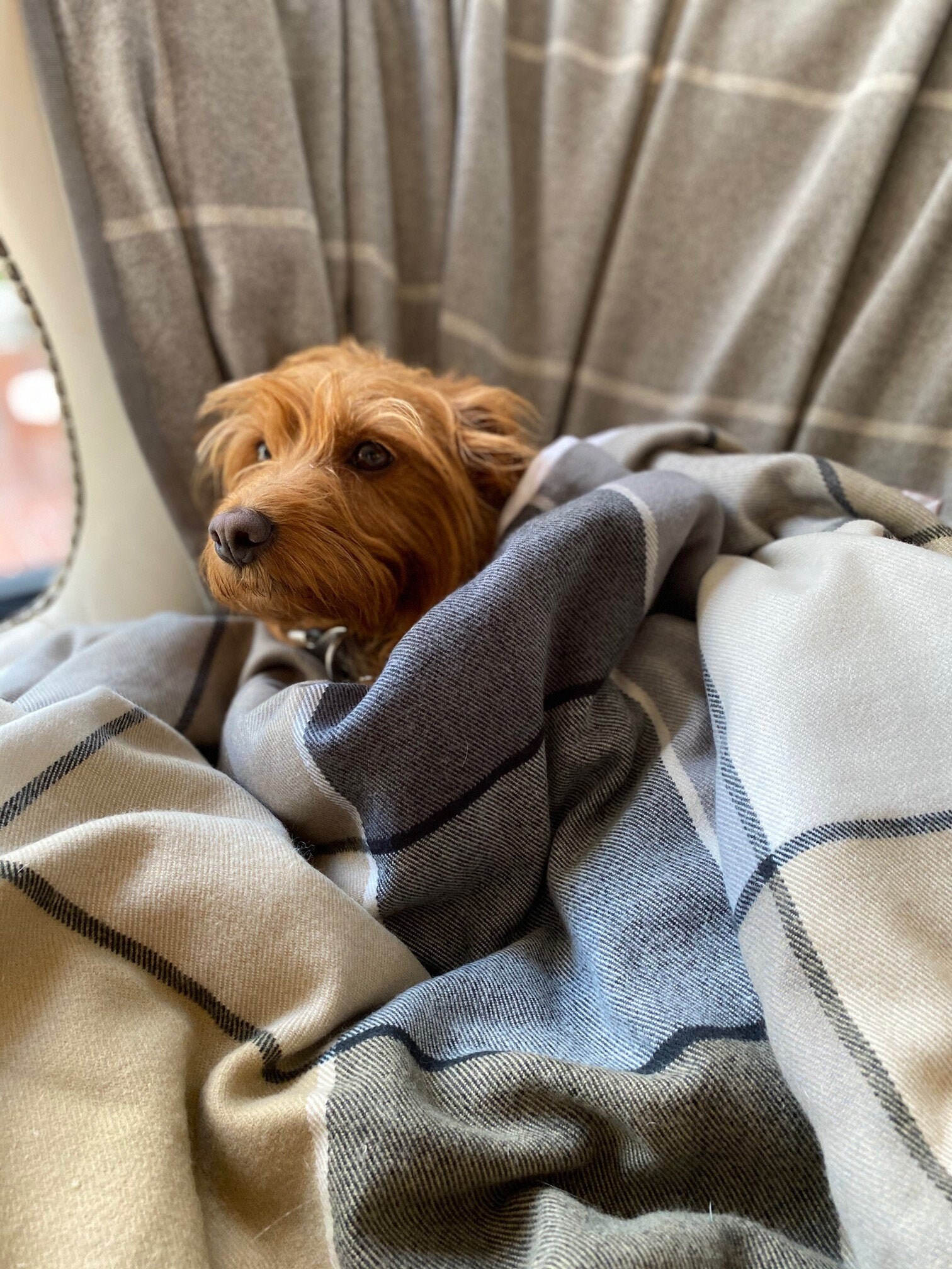 Dog Anxiety Blanket With Grey and Camel Flannel Plaid Duvet Etsy UK