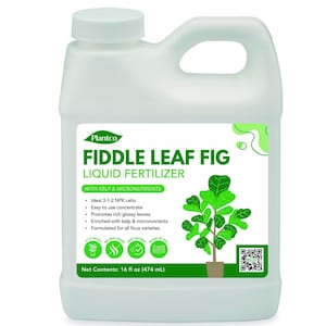 Fiddle Leaf Fig Fertilizer - Etsy