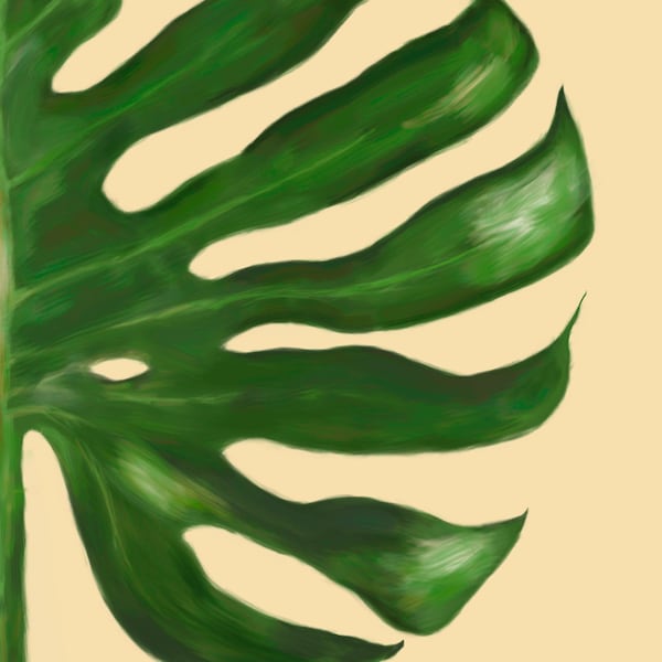 Cheese plant leaf, Monstera deliciosa, digital art in a painterly style.