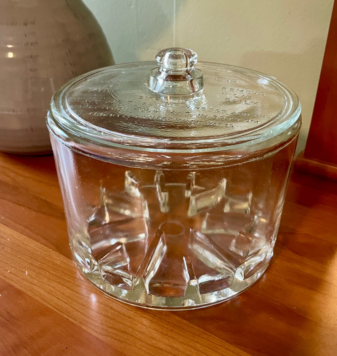 Sanitary Cheese Preserver, Vintage Glass Cheese Preserver, Cheese