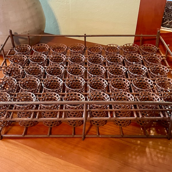 Seed Starter Tray, Seedling Holder, Seed Tray, Vintage Test Tube Tray, Vintage Pharmacy, Vintage Test Tube Rack, Plant Seed Starter Tray