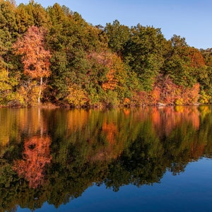 Reflections on Autumn | Photo Print