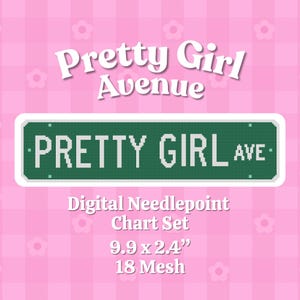 May include: A digital needlepoint chart set with the text "Pretty Girl Avenue" in white on a green street sign. The sign measures 9.9 x 2.4 inches and is set on a pink floral background.