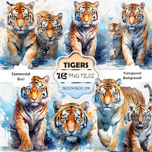 Watercolor Tiger Clipart Bundle, Baby Tiger PNG Set, Cute Tiger Painting, Winter Tiger Print for Scrapbook, Junk Journal, Sublimation