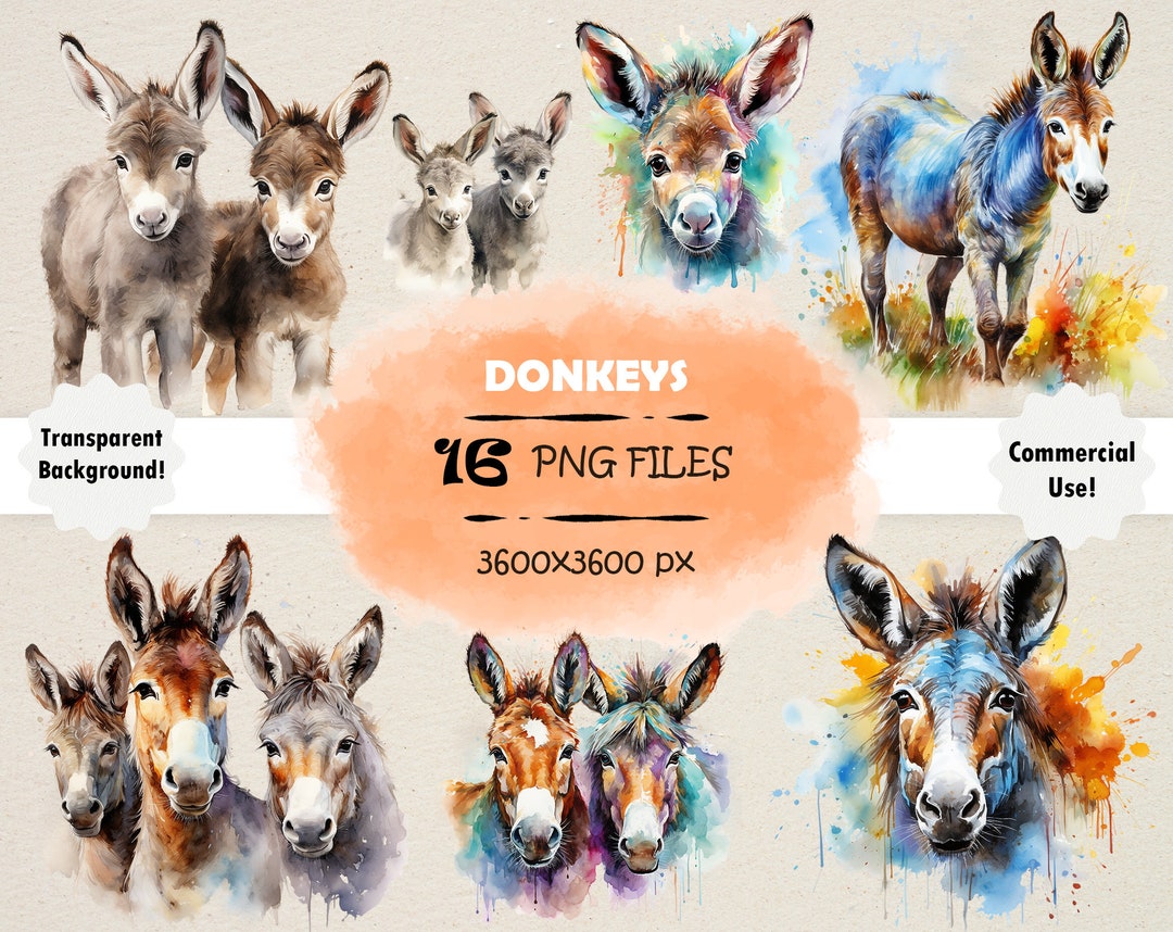 Watercolor Donkey Clipart Bundle Baby Donkey PNG Set Watercolor Donkey