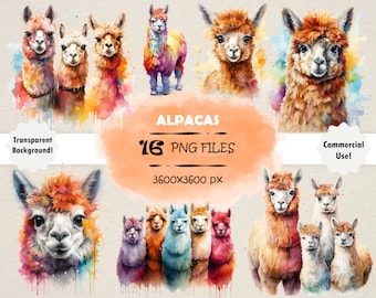 Watercolor Alpaca Clipart Bundle Colorful Alpaca PNG Set Original Alpaca Wall Art Watercolor Llama PNG Baby Llama Clip Art Baby Alpaca PNG